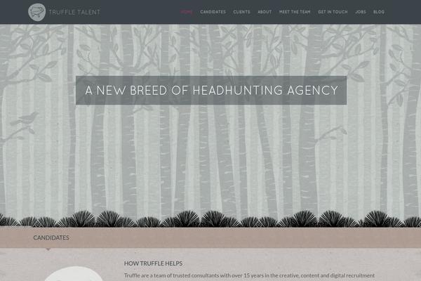 Site using WP Rocket plugin
