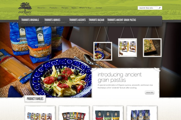 truroots theme websites examples