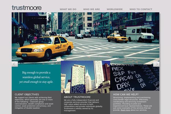 Trustmoore theme websites examples