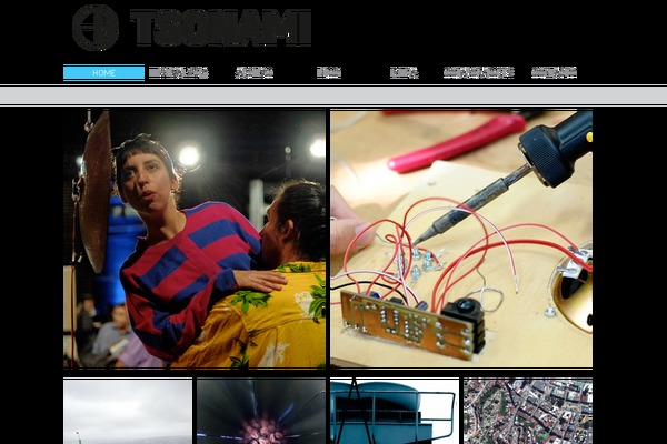 tsonami theme websites examples