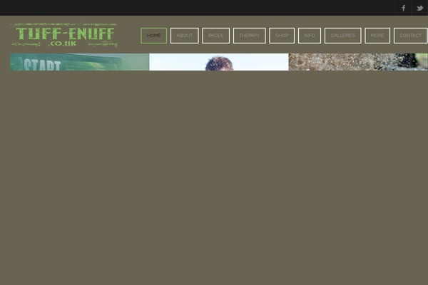 Site using Countdown Timer plugin