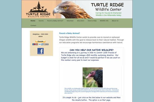 TRWC theme websites examples
