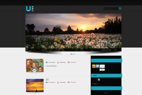 Site using Dynamic "To Top" Plugin plugin