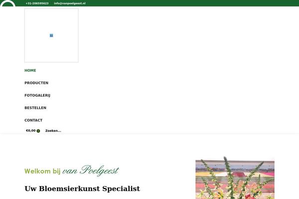 Site using GTranslate - Google Translate plugin