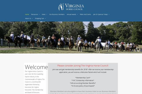 Salient theme site design template sample