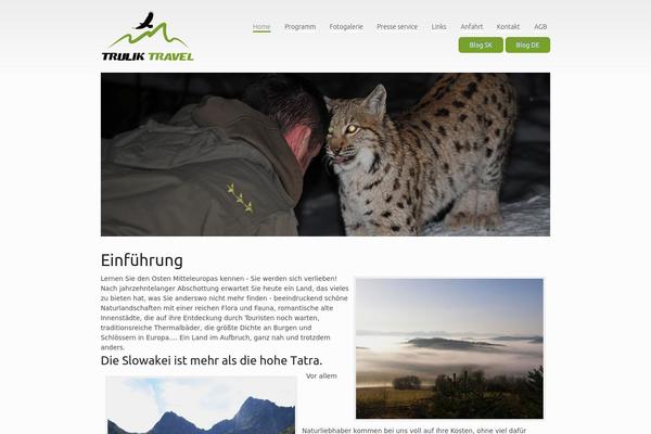 trulik theme websites examples