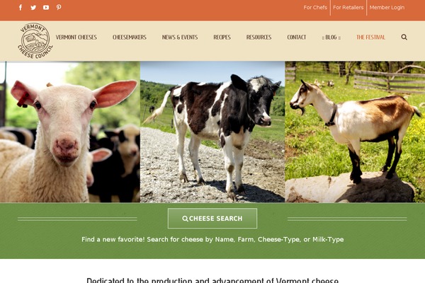Avada theme site design template sample