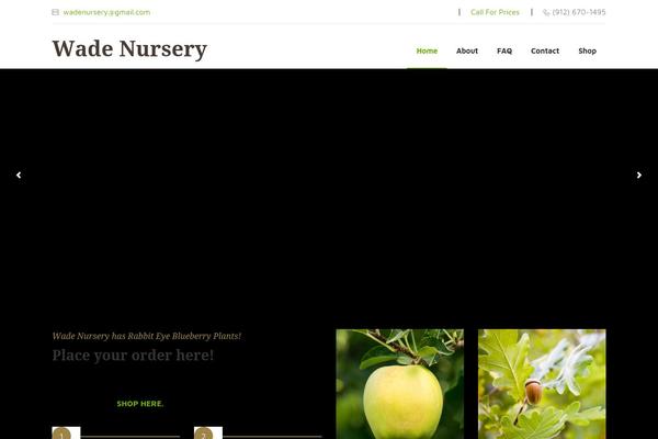 Site using Google Analytics by Yoast plugin