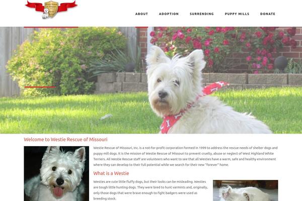 Cherry Framework theme site design template sample