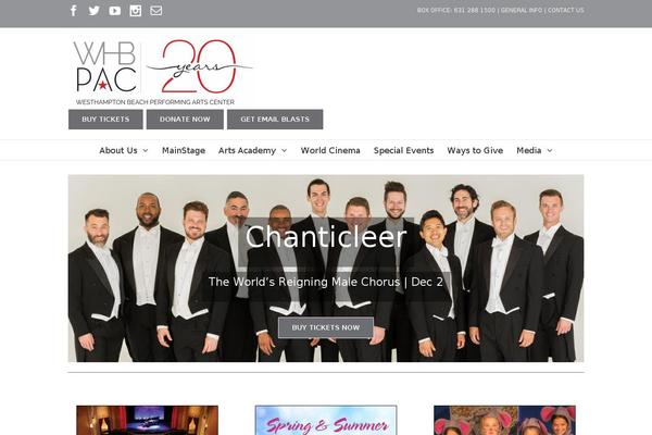 Avada theme site design template sample