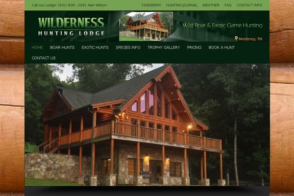Avada theme site design template sample