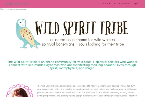 Site using WP Forum Server plugin