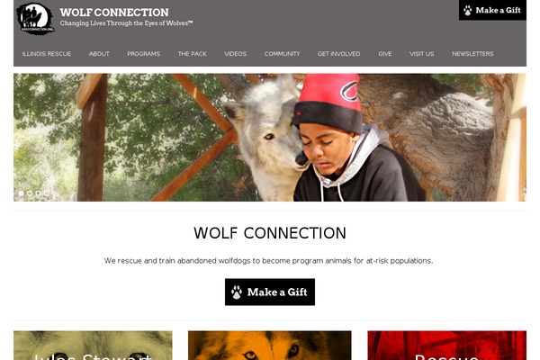 Oshine Child theme site design template sample