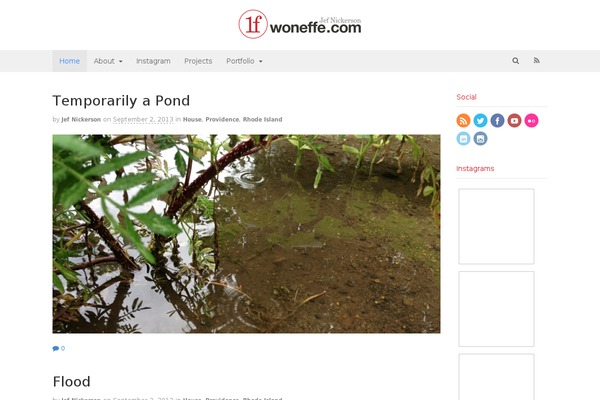 Pro theme site design template sample