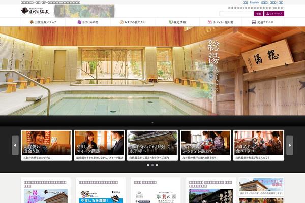 Site using Autoptimize plugin