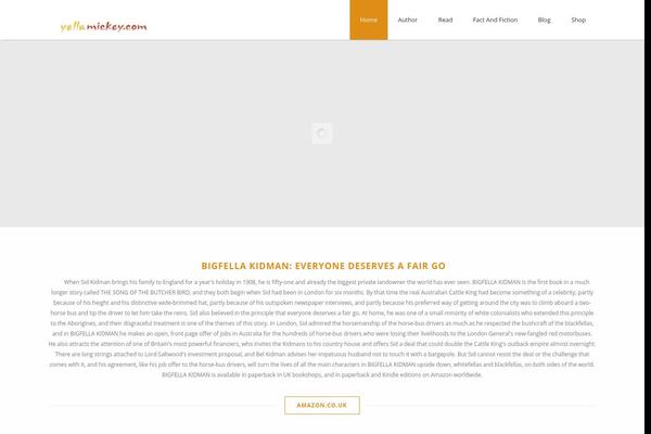 Site using Page-flip-image-gallery plugin