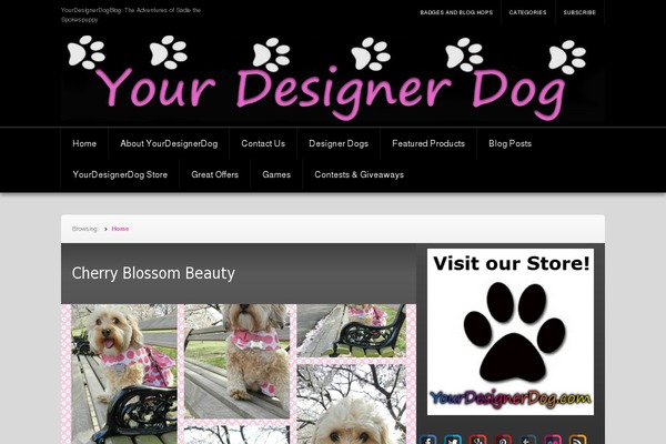 Site using Wp-show-posts plugin